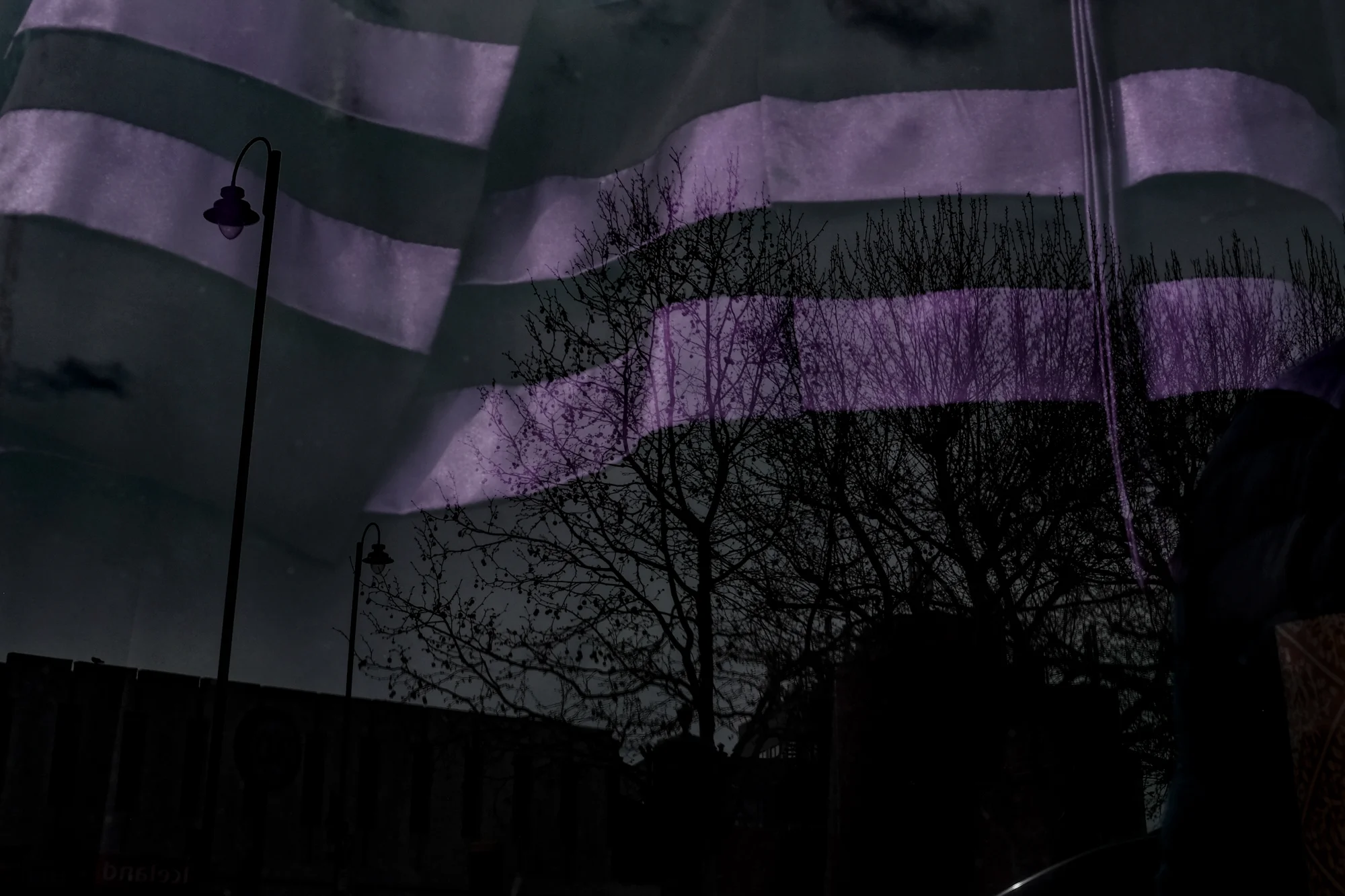 DSCF4278.jpg