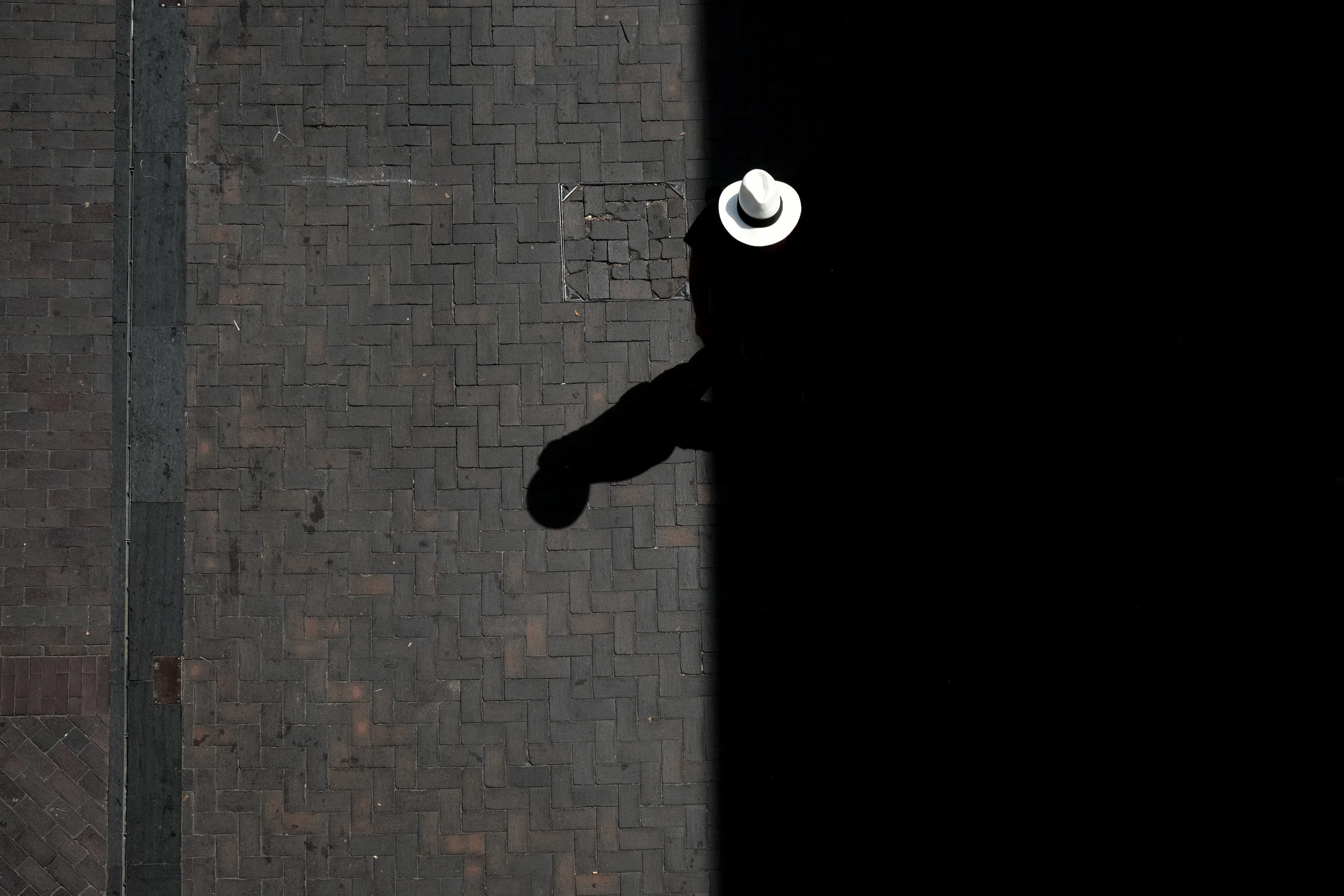 _DSF9869.jpg