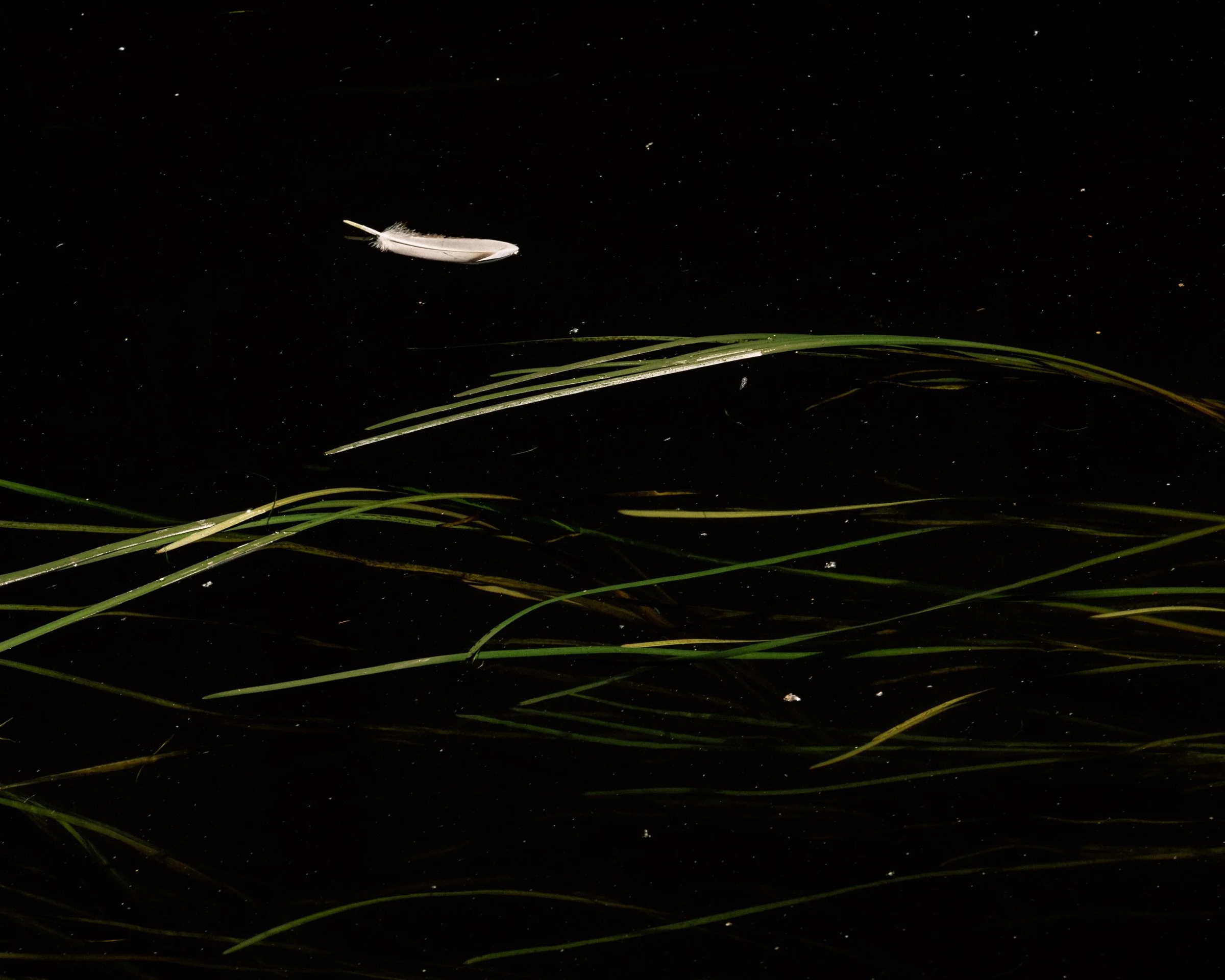 _DSF5863-1.jpg