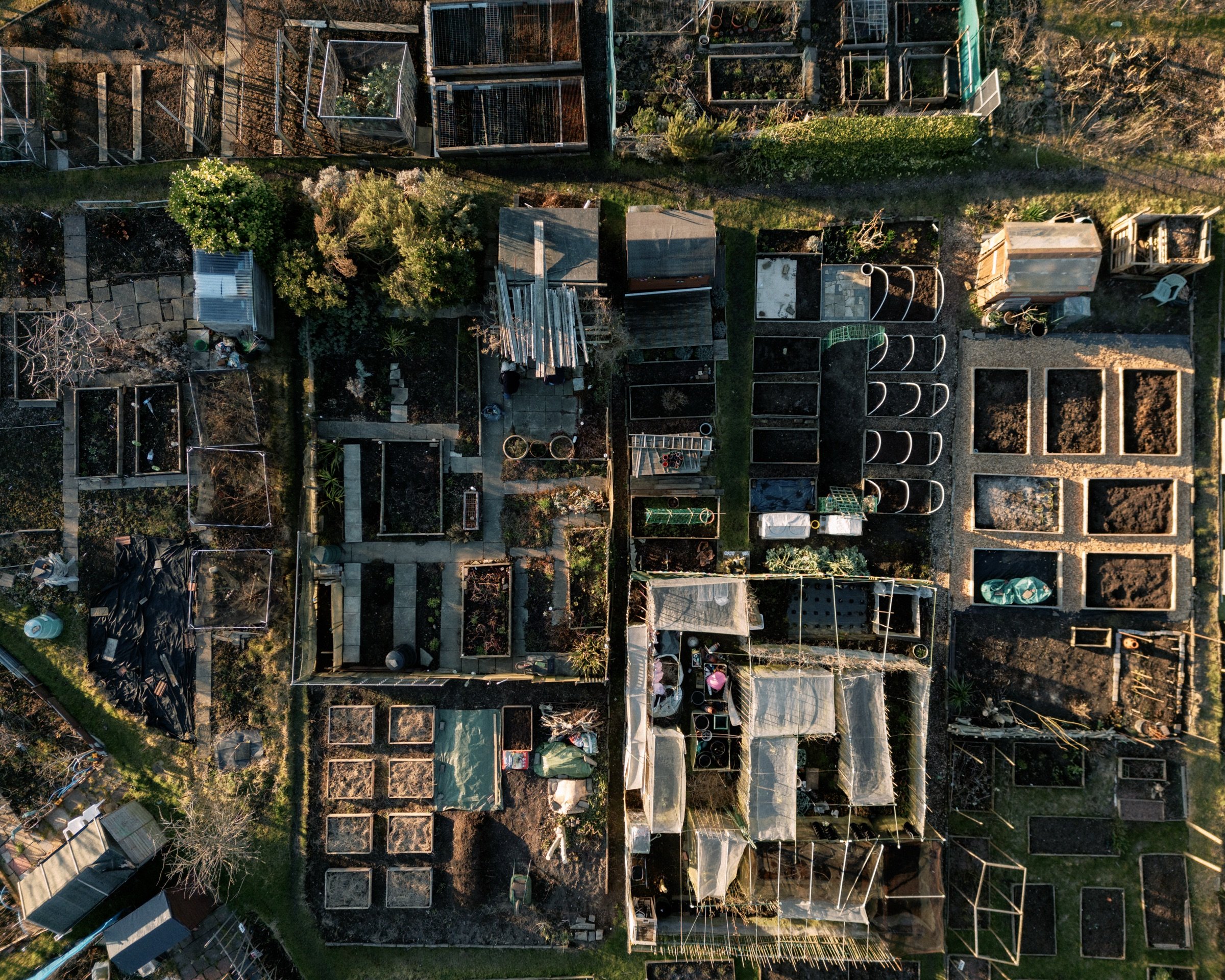 20250304_DJI_0156-1.jpg