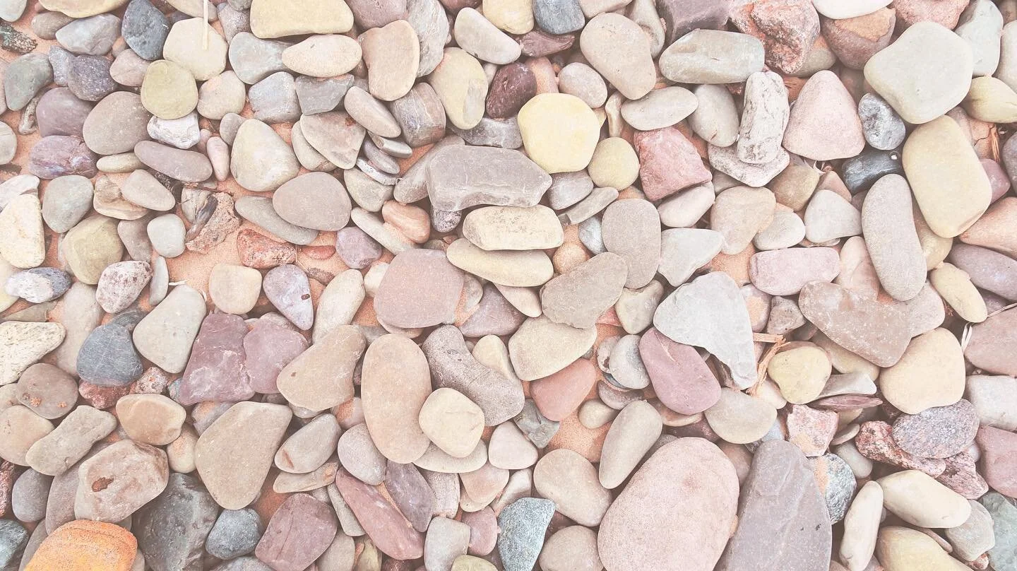 This colour palette is dreamy! From one of my recent beach visits at Cape Breton!
.
.
.
.
.
#colour #beachvibes #color #coloursofnature