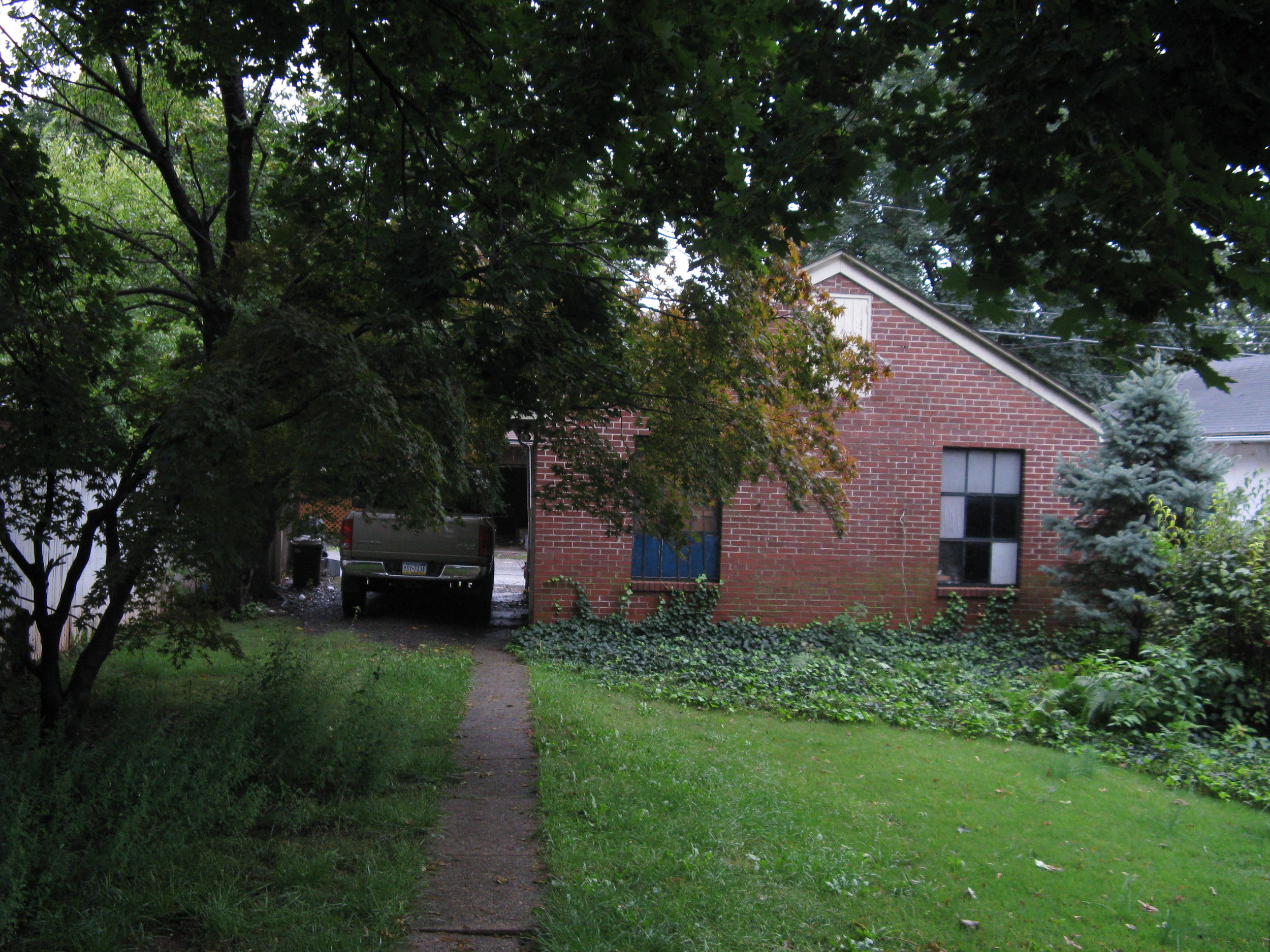 Backyard 2008.