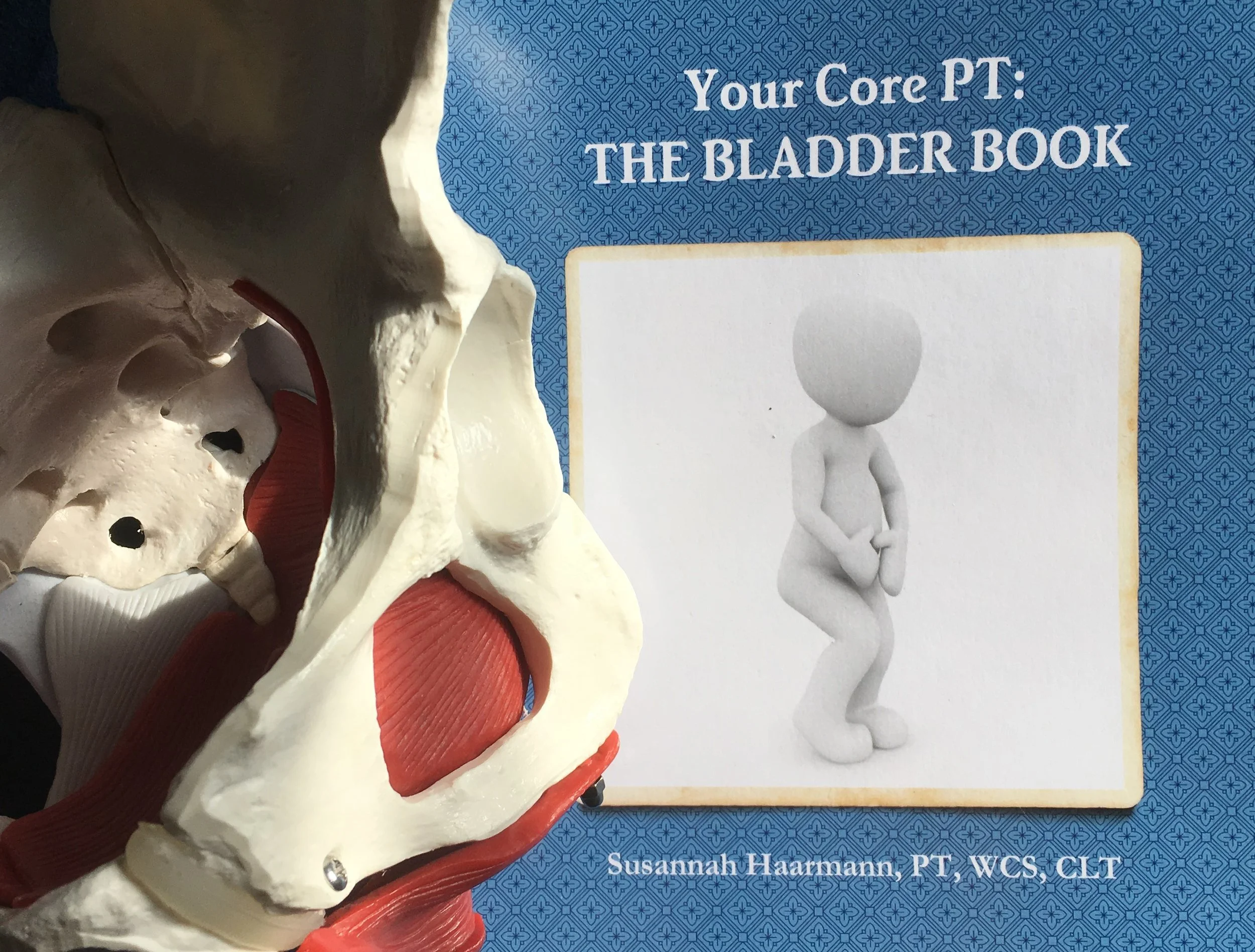 THE BLADDER BOOK Patient education is the foundation of what we do. This complete collection of patient handouts on bladder health is perfect for saving time and brain space in the clinic. Available in PDF and print. $79.99 by Your Core PT.