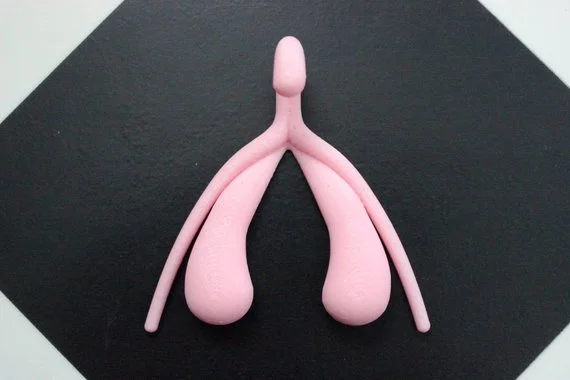 3D CLITORIS Hercules! Hercules! This life-sized 3D model of the human clitoris will put a grin on your sex educator’s face. Now you’re speaking our language! $25.93 by Clito