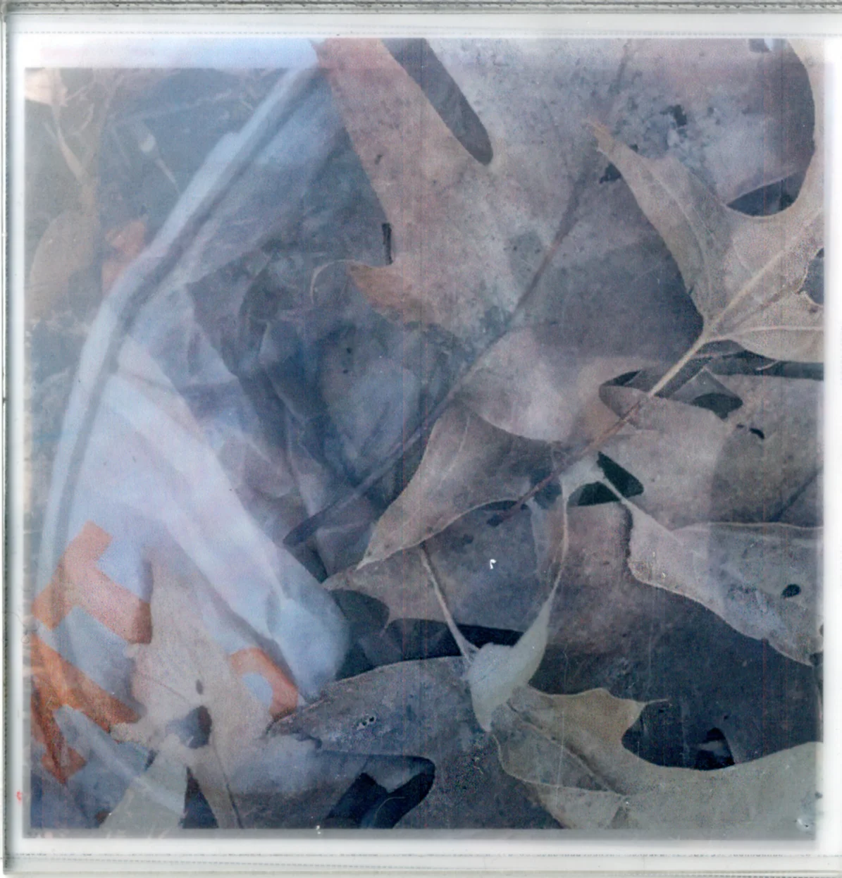 Remnants_Landscape Layered_E.jpg