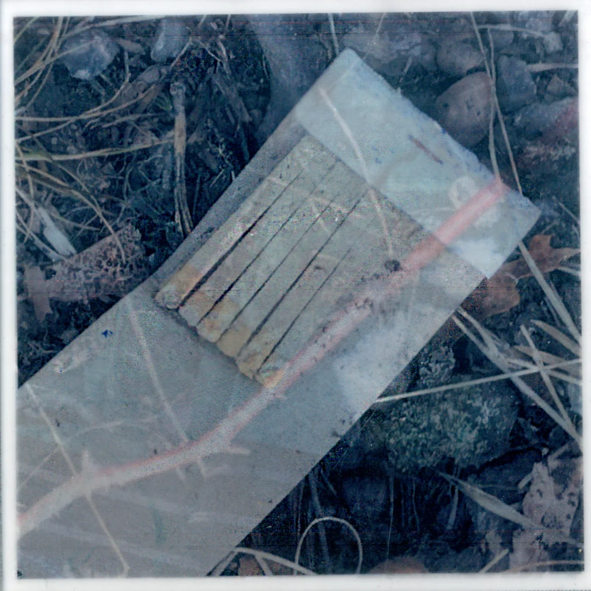 Remnants_Landscape Layered_F.jpg