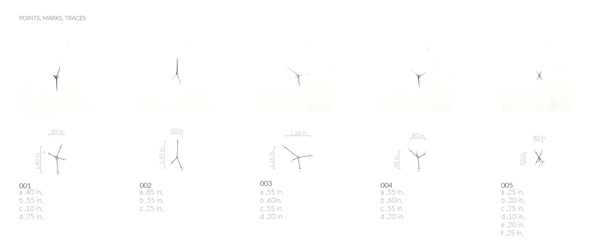 VIS 2141_FL16_Ex. 4.3_FrontadoIsabella_Map-03.jpg