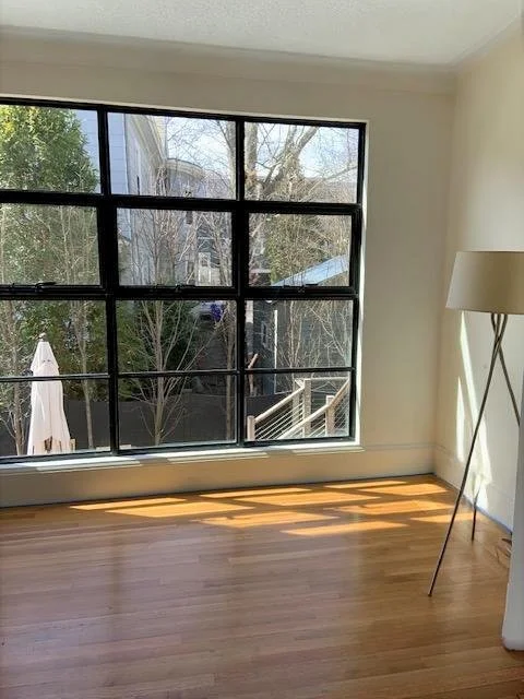 IMG_4563-window fin good.JPG