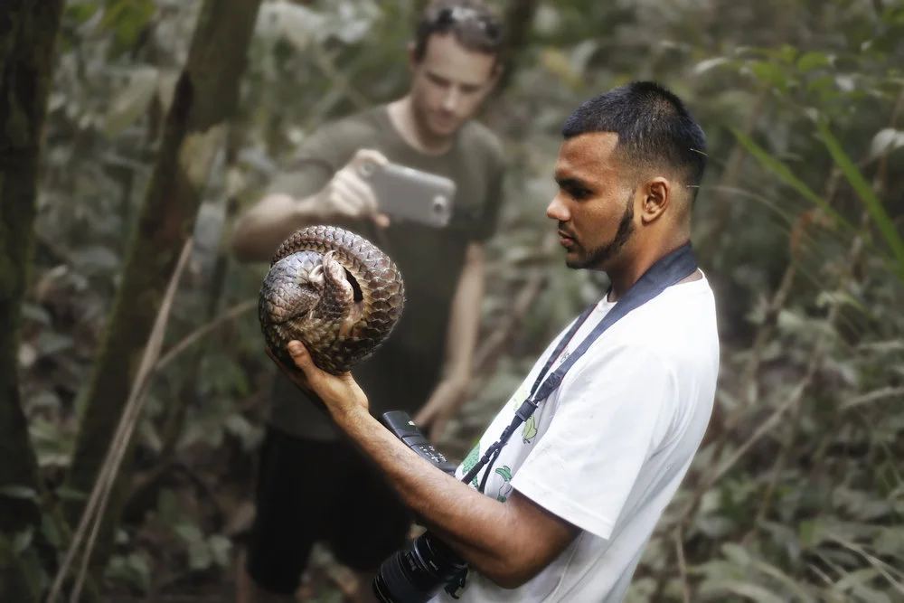 SHAVEZ CHEEMA HANDLING A PANGOLIN, WHICH IS NATIVE TO BRUNEI AND aN IUCN Red List crITICALLY eNDANGERED SPECIES. 