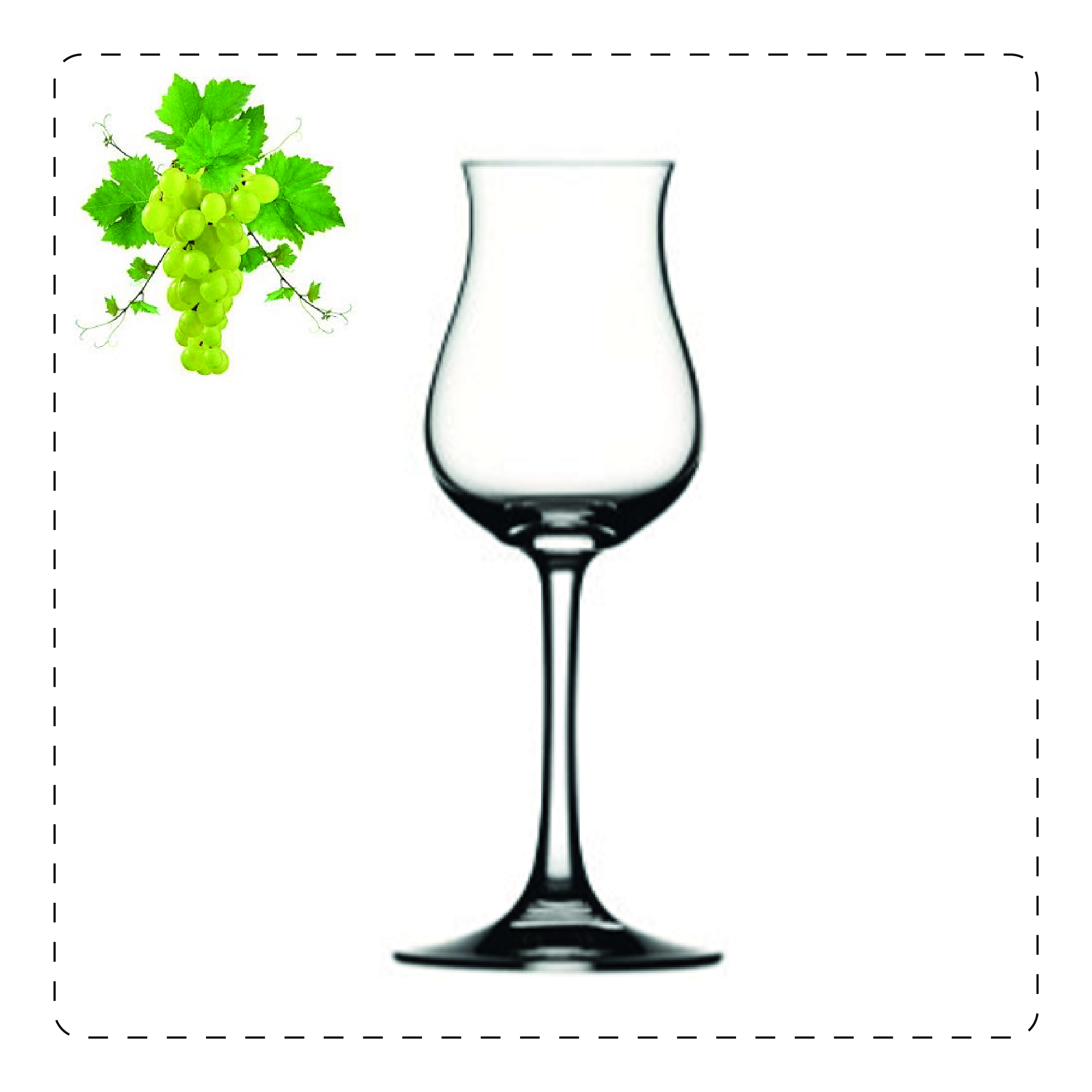 TULIPANO Questo bicchiere a stelo è adatto per vini bianchi leggeri e freschi; prende il nome proprio dalla sua forma che ricorda, appunto, un tulipano: la parte più alta, più stretta serve a racchiudere gli aromi volatili e a farli scoprire pian piano all'olfatto.