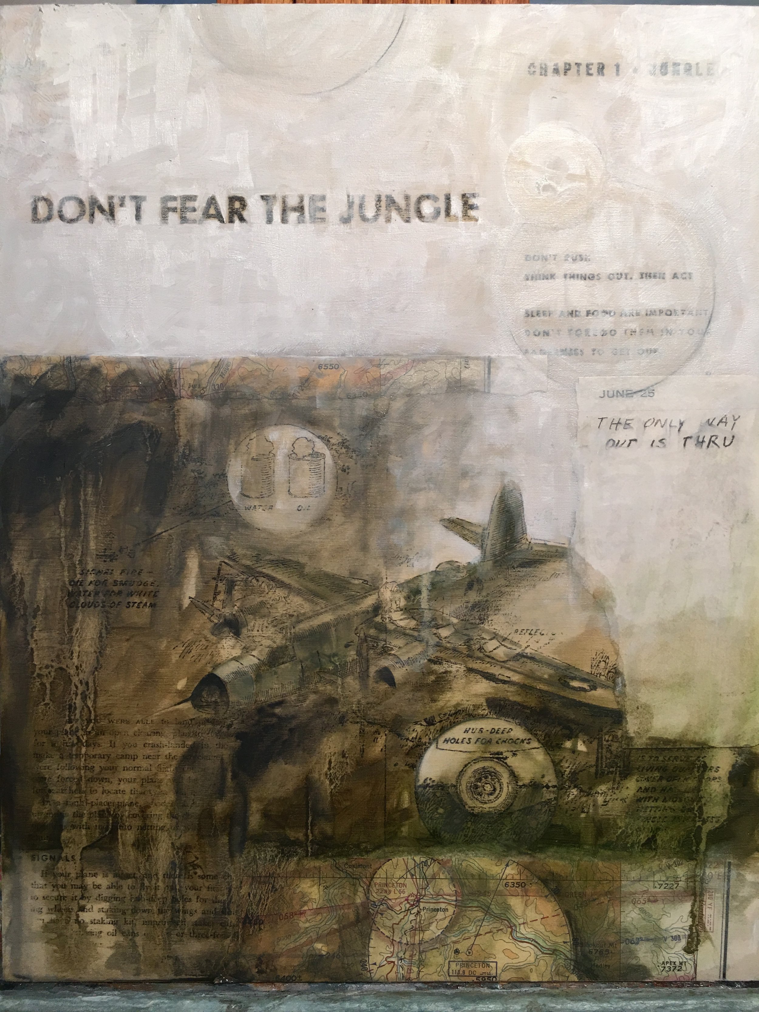 Don't Fear the Jungle