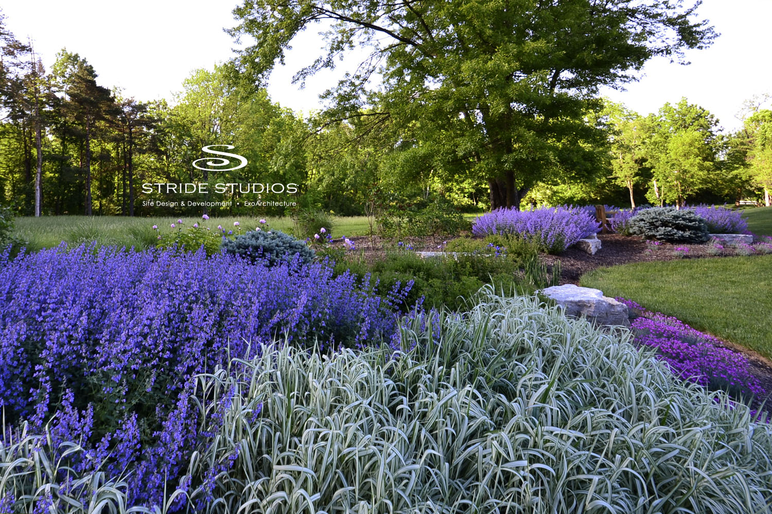 10-stride-studios-purple-garden-grass.jpg