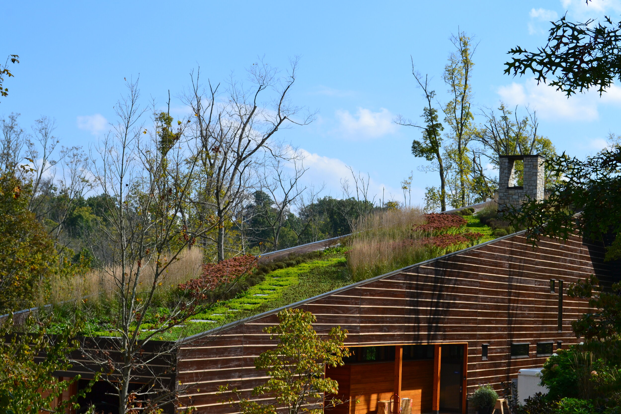 34-stride-studios-indian-hill-walnut-woods-green-roof.jpg