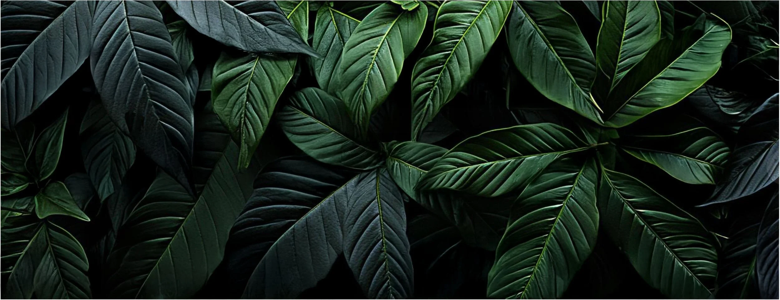 00 Jurassic Banner.jpg