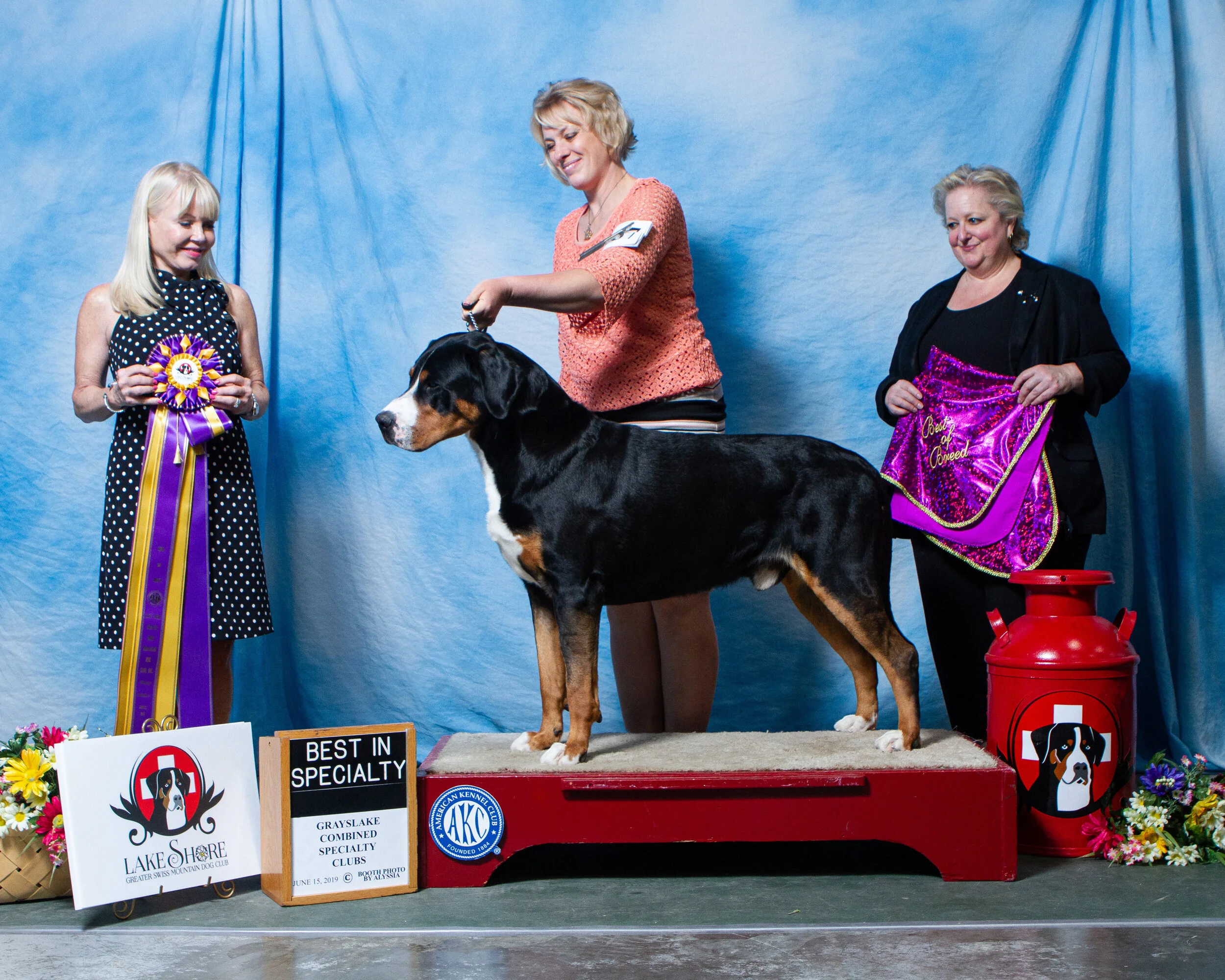 onofrio dog shows 2019