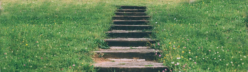 steps.jpg