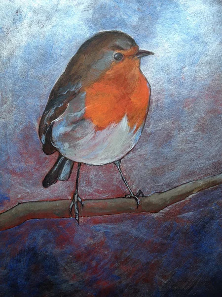 robin.jpg