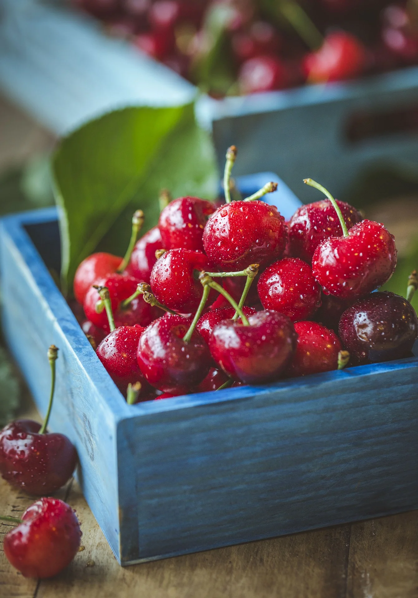 8 Top Health Benefits of Cherries