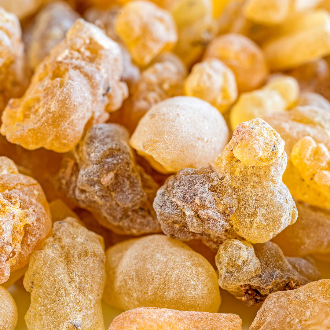 What is Boswellia Serrata? 