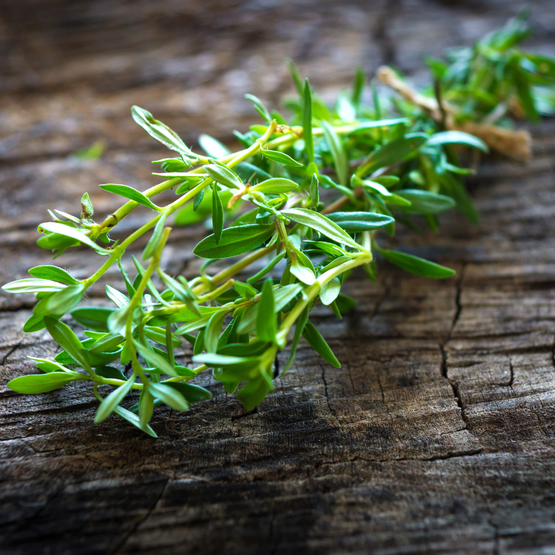 What is Summer Savory?
