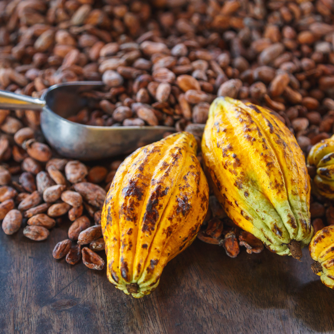 Health Benefits of Cacao 