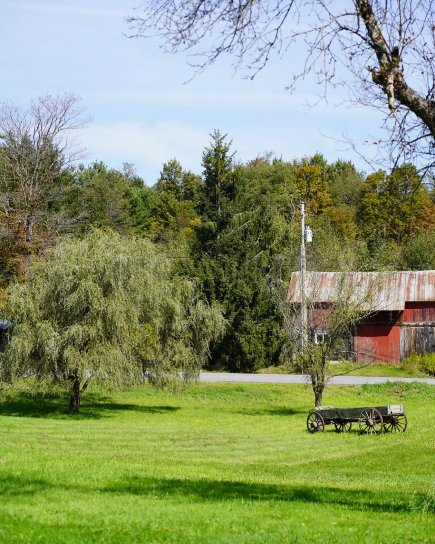 View from the land surrounding the JZD studio. Wishing all a peaceful and pleasant Sunday. 

&bull;

#catskills #catskillsmountains #upstate #upstateny #newyorkstate #catskillsny #catskillslove #naturephotography #nycdesigner #newyorkbydesign #artist