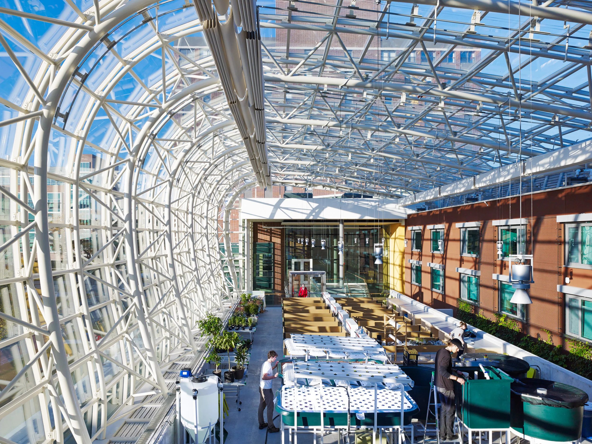 Loyola Institute of Environmental Sustainability