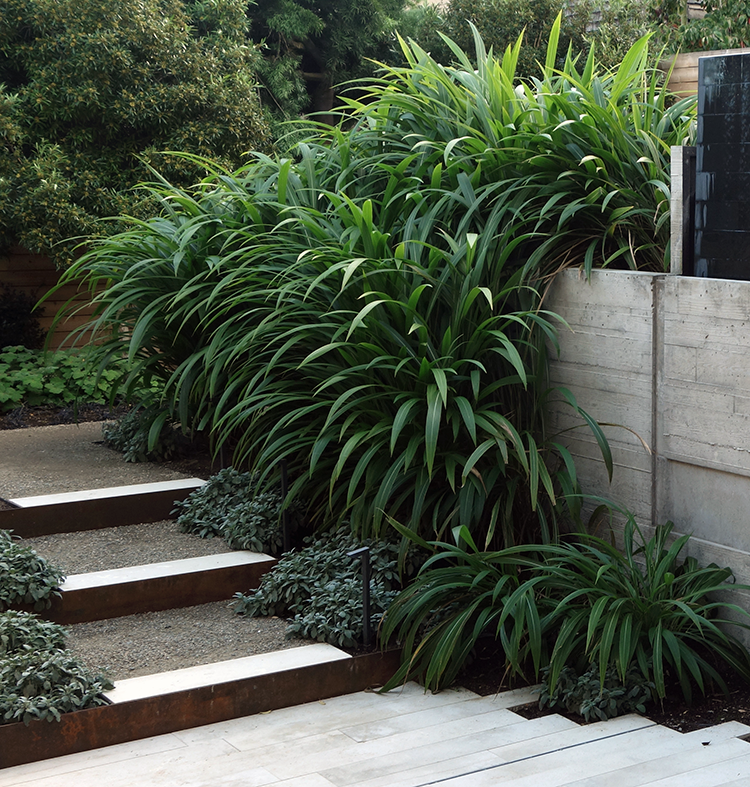 location: SAN FRANCISCO CA; size: 4,800 SF; habitat: URBAN; completed while at Lutsko Associates