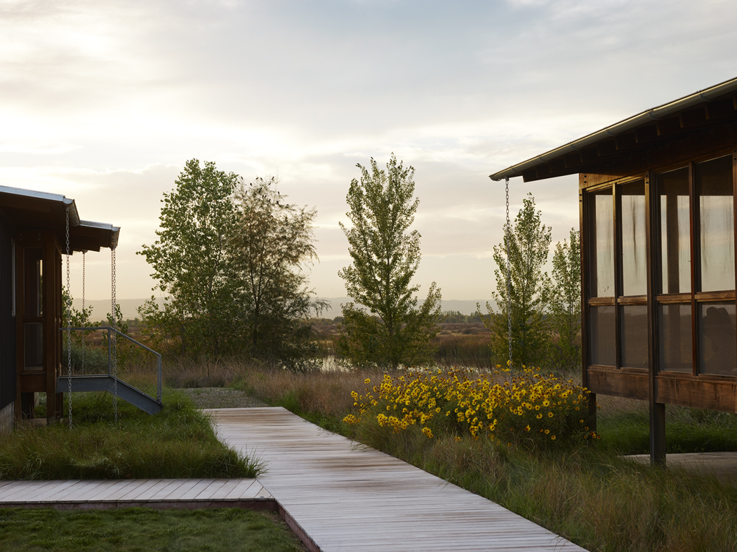location: ZAMORA CA; size: 3,000 AC; habitat: FRESHWATER WETLAND; completed while at Lutsko Associates