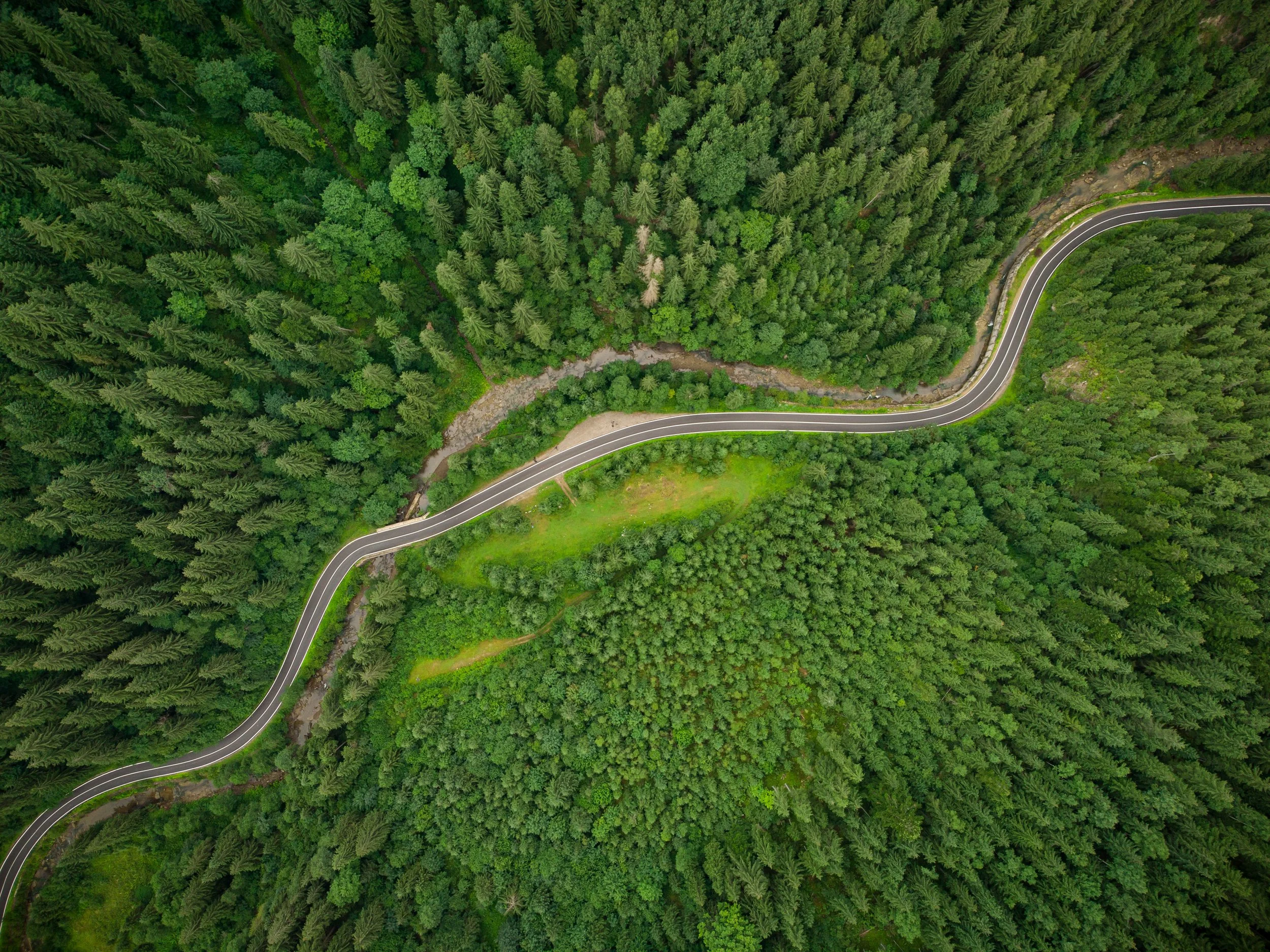 aerial-view-of-a-coniferous-forest-through-which-a-2022-01-18-23-41-31-utc.jpg