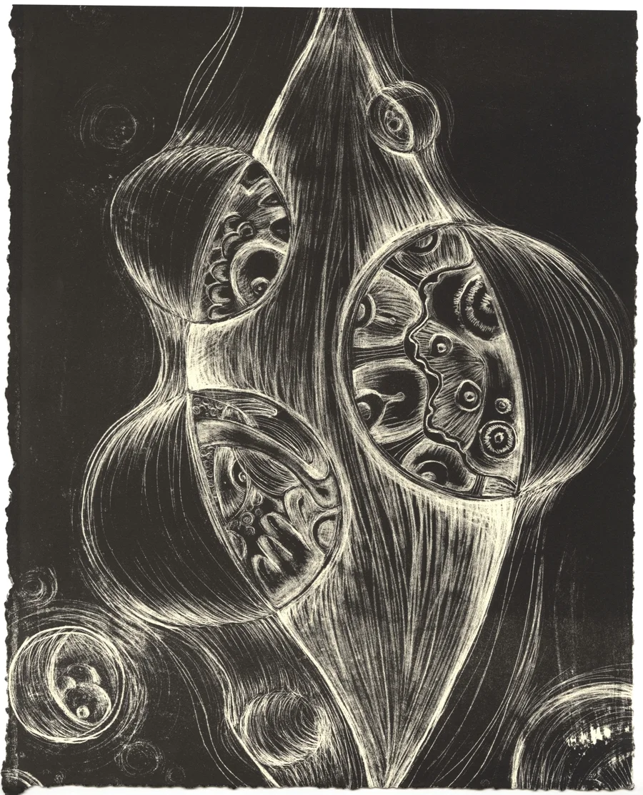 Sinuous and Silent Life, 2016