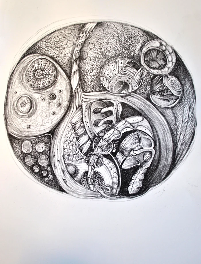 Embryo, 2016