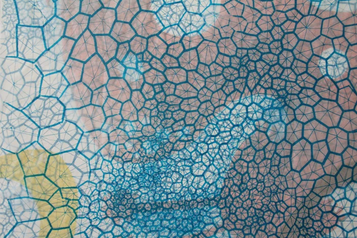 Metamorphosis -close up - 2015