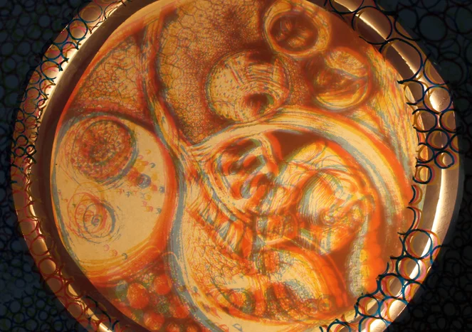 Embryonic State - Detail Serigraph