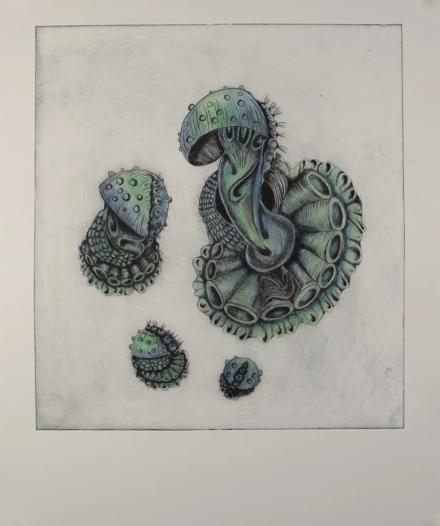 Sea MushAnemone Pudica - series - 2017