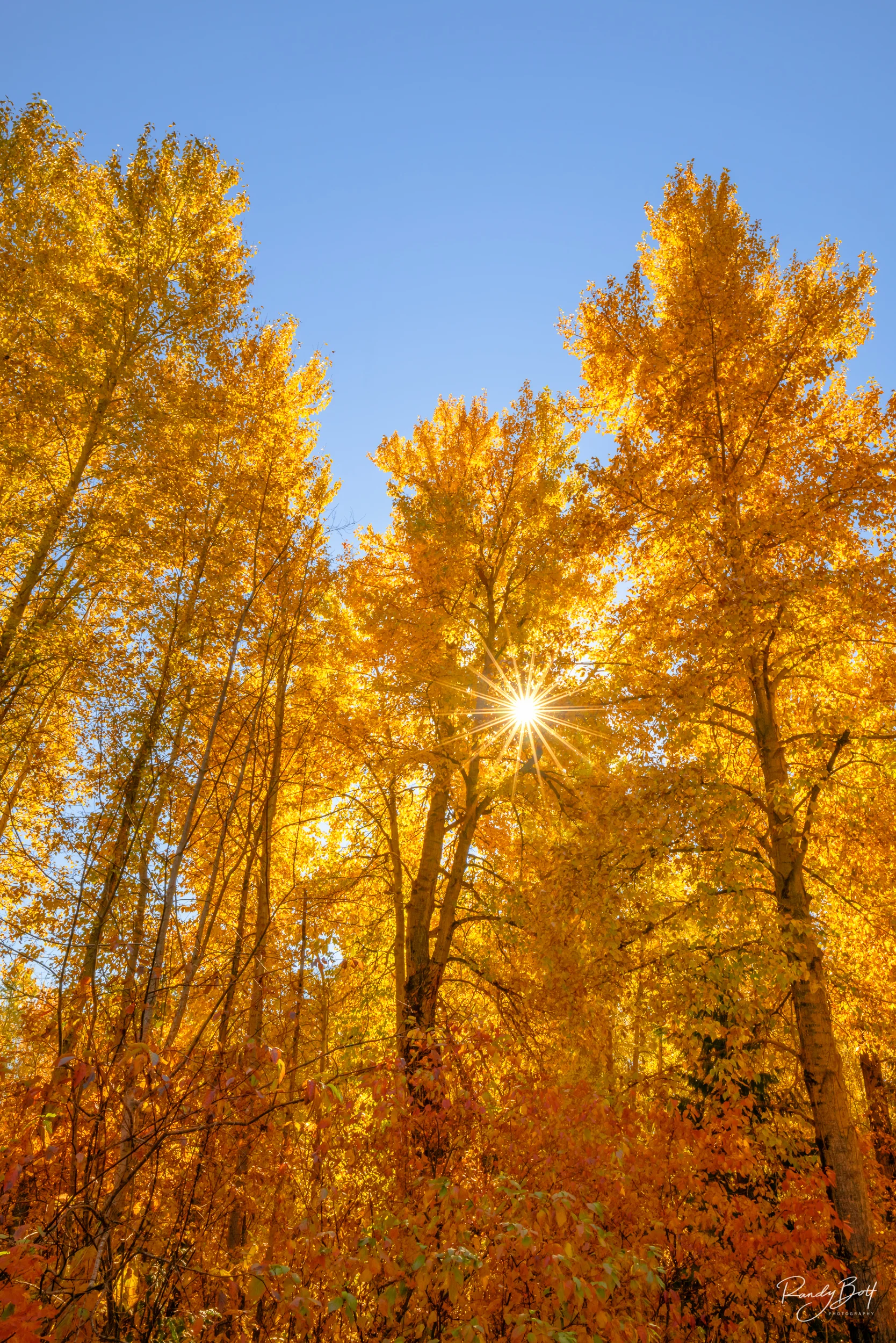 Image taken near Lake Wenatchee this fall. Enhanced using Solid Color Layers.