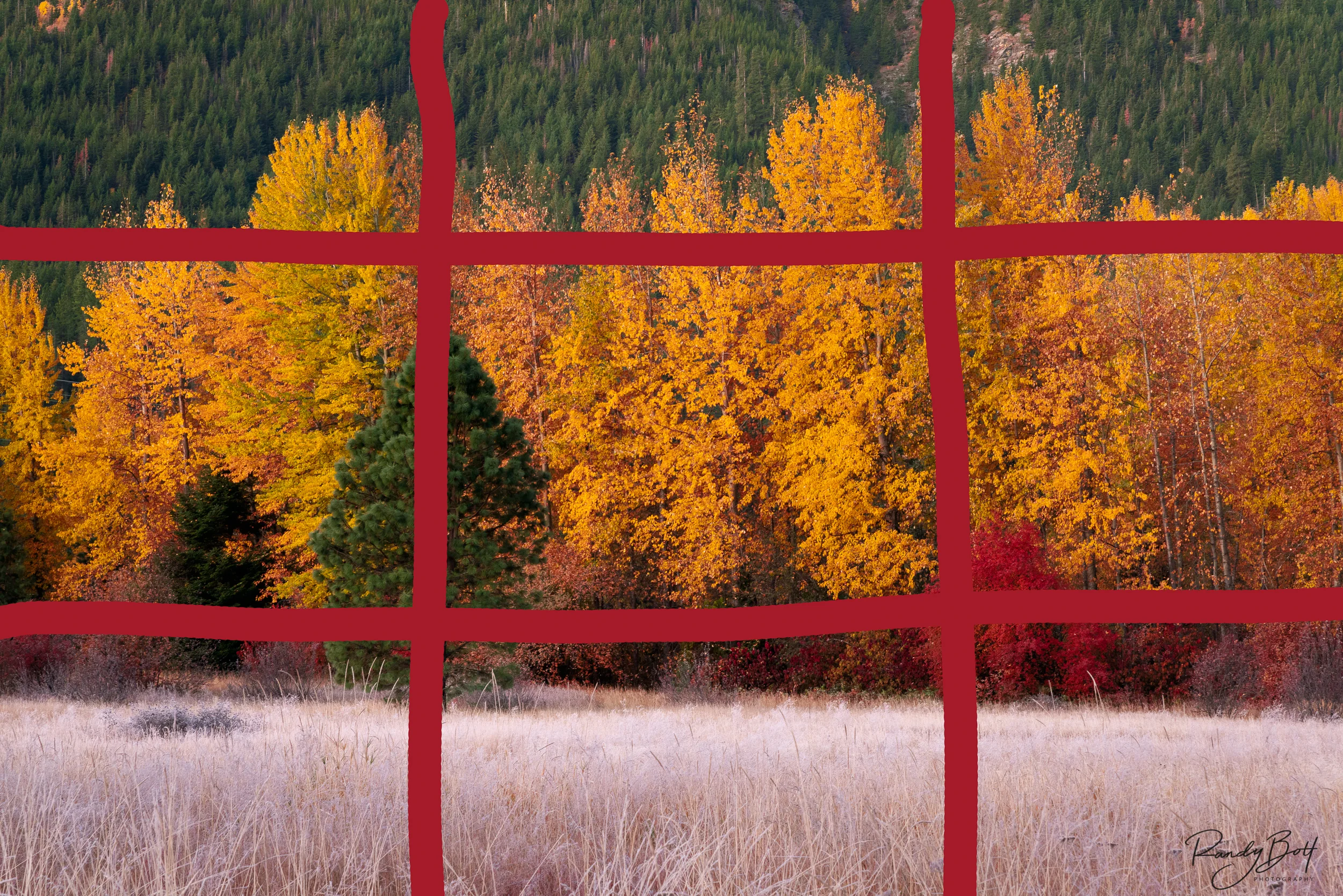 Rule of Thirds