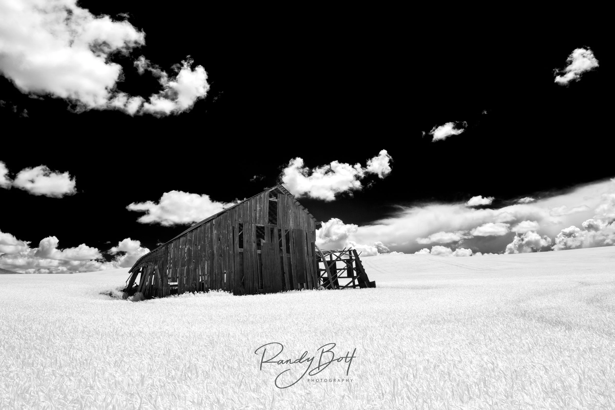 Infrared black and white