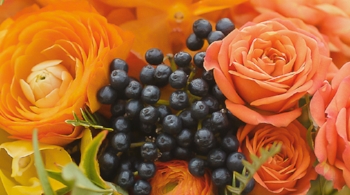 Baylor Flowers’ selection of harvest blooms will have you like - wowowowowow!