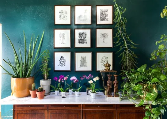 Our Favorite Orchids and Plants Wonderland
