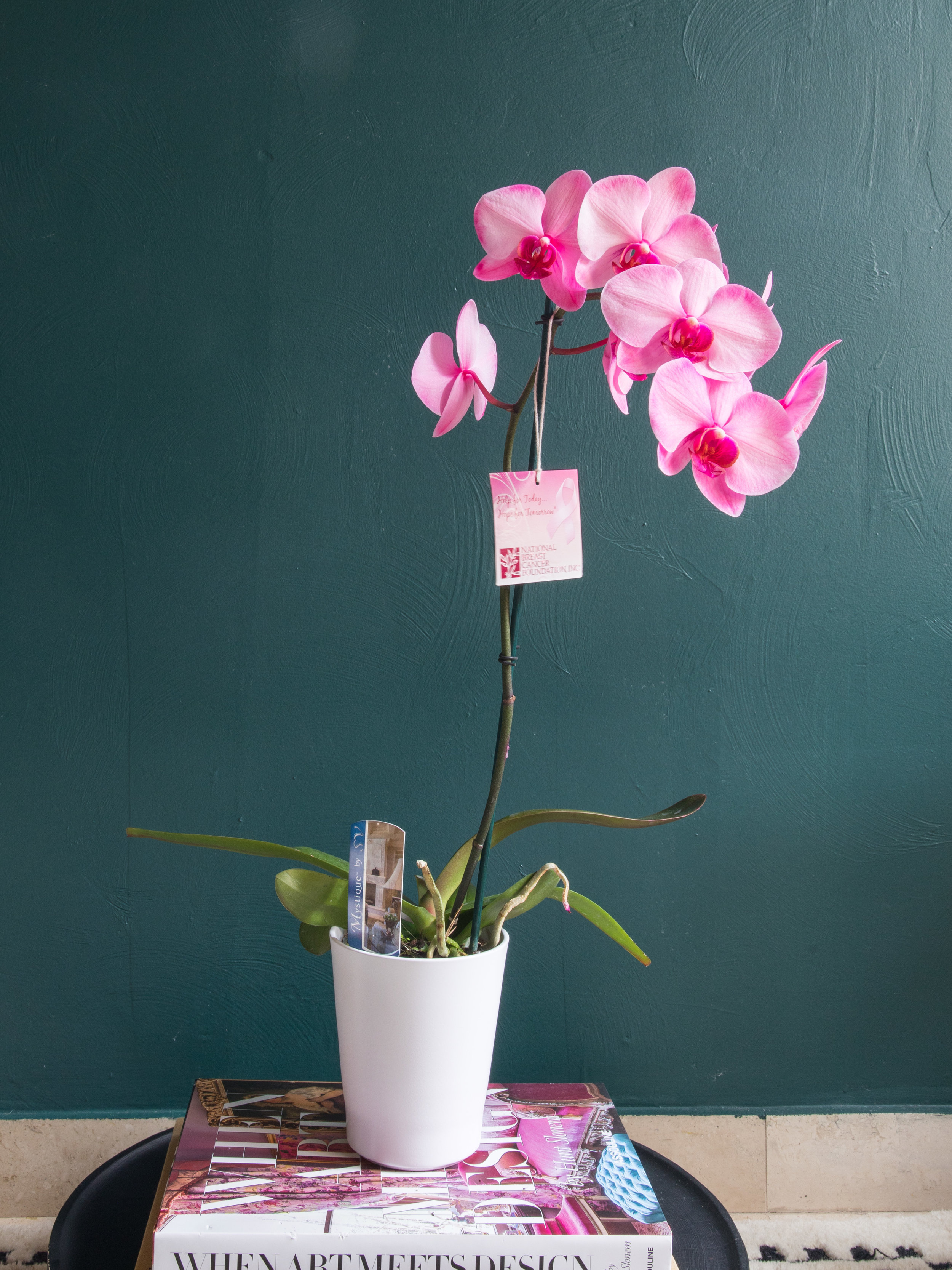 Celebrating Our Pink Warriors 