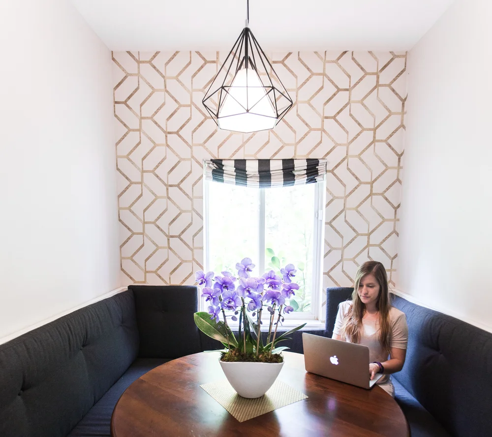 The Best Orchids for Your Office — Your Orchid Questions