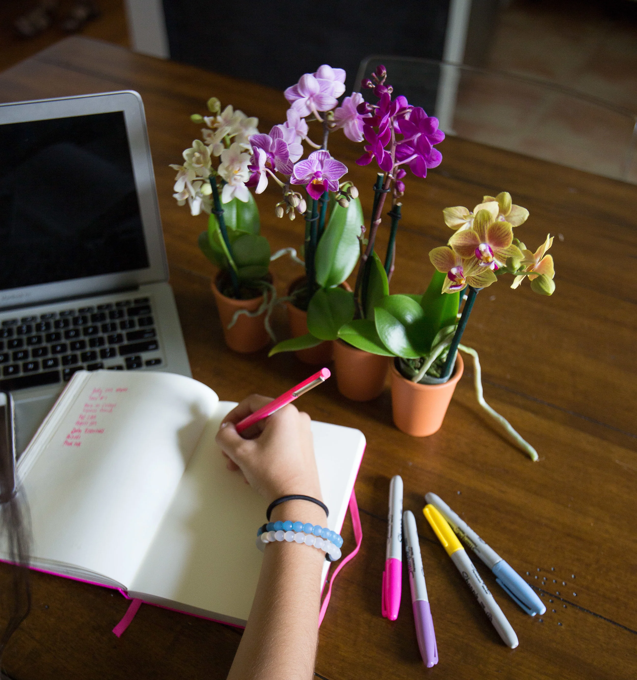 The Best Orchids for Your Office