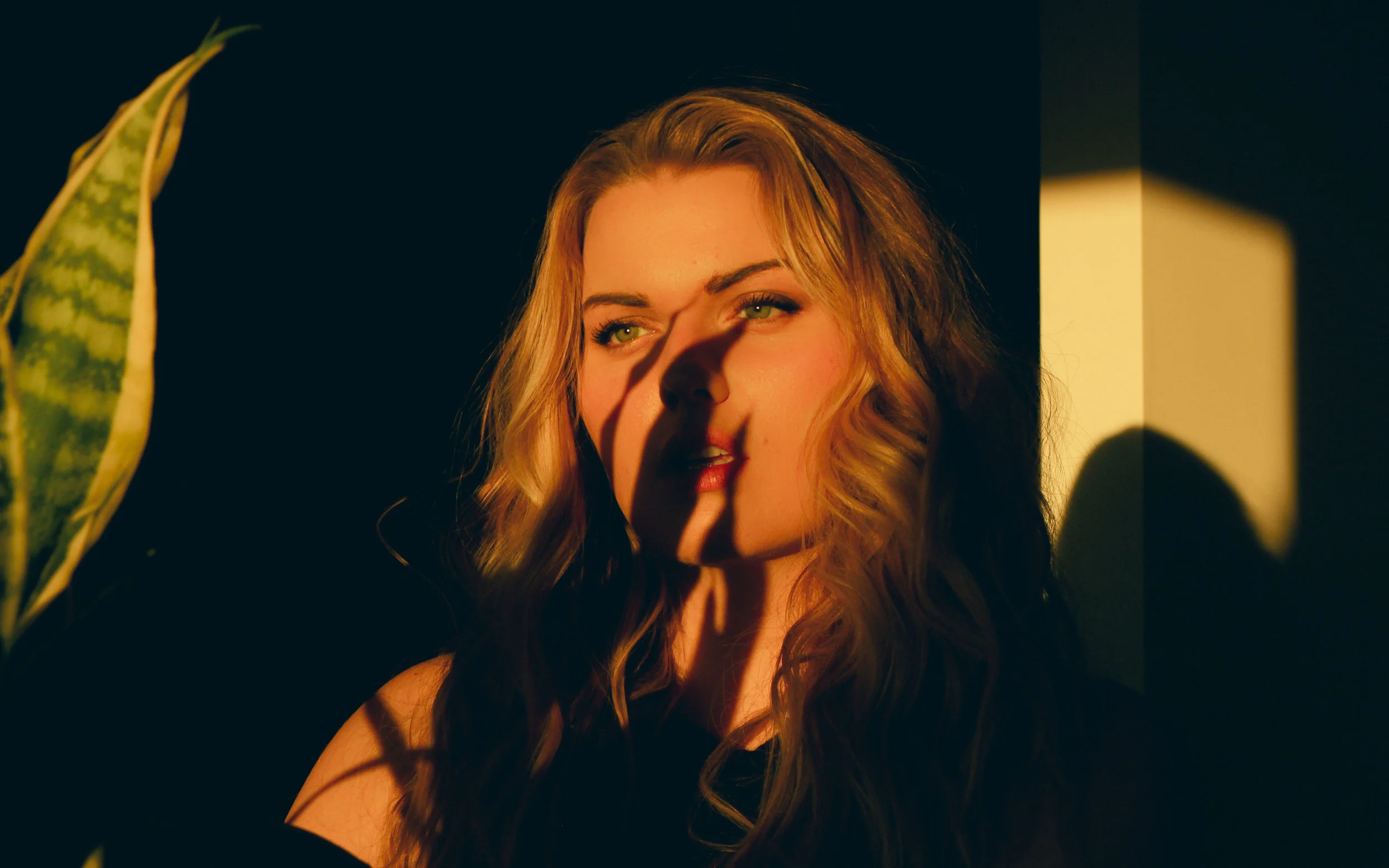 Sam Nov 25 2015  (4 of 16).jpg