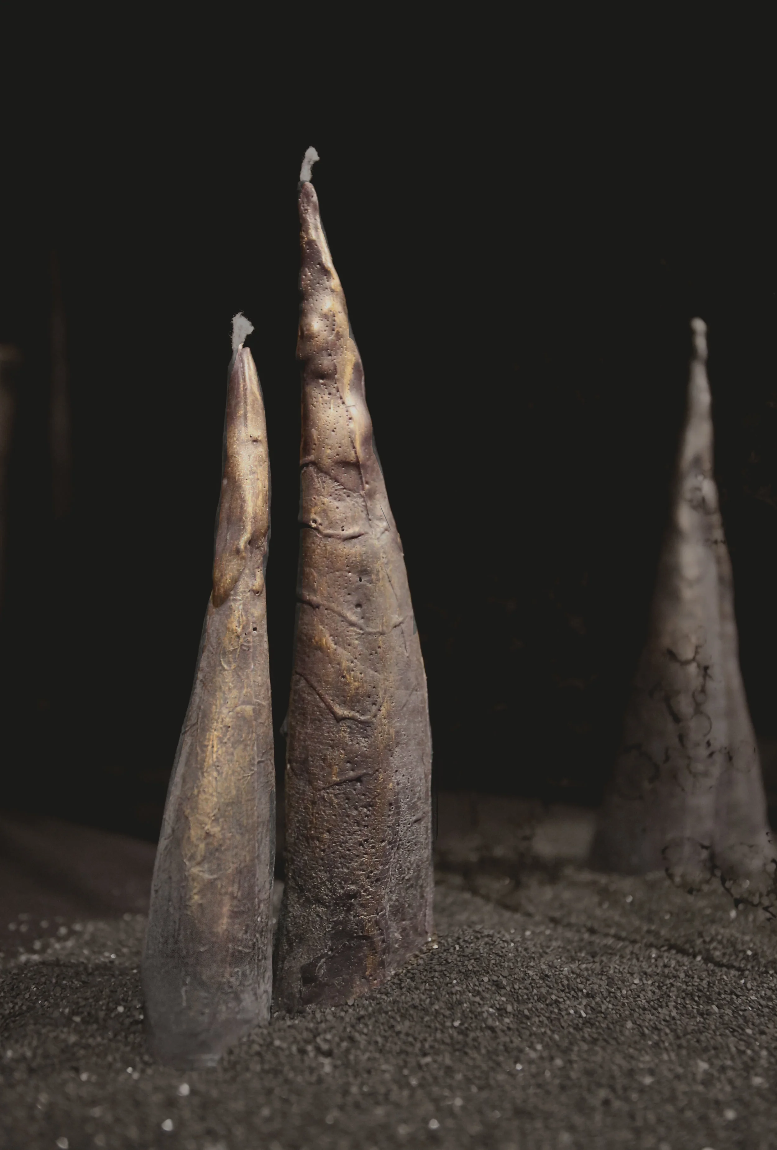 Rhino Candle 2.jpg