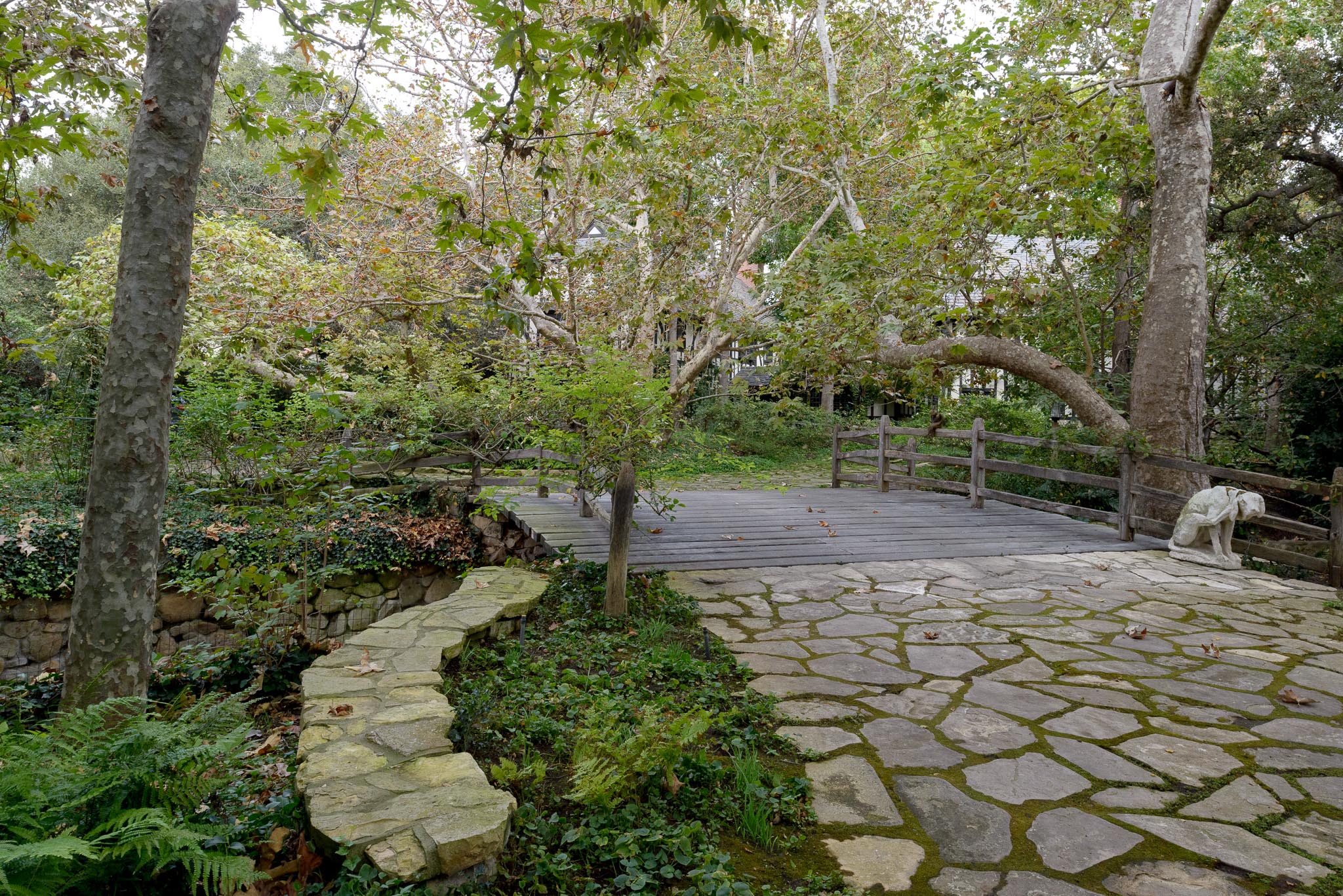 _DSC8090.jpg