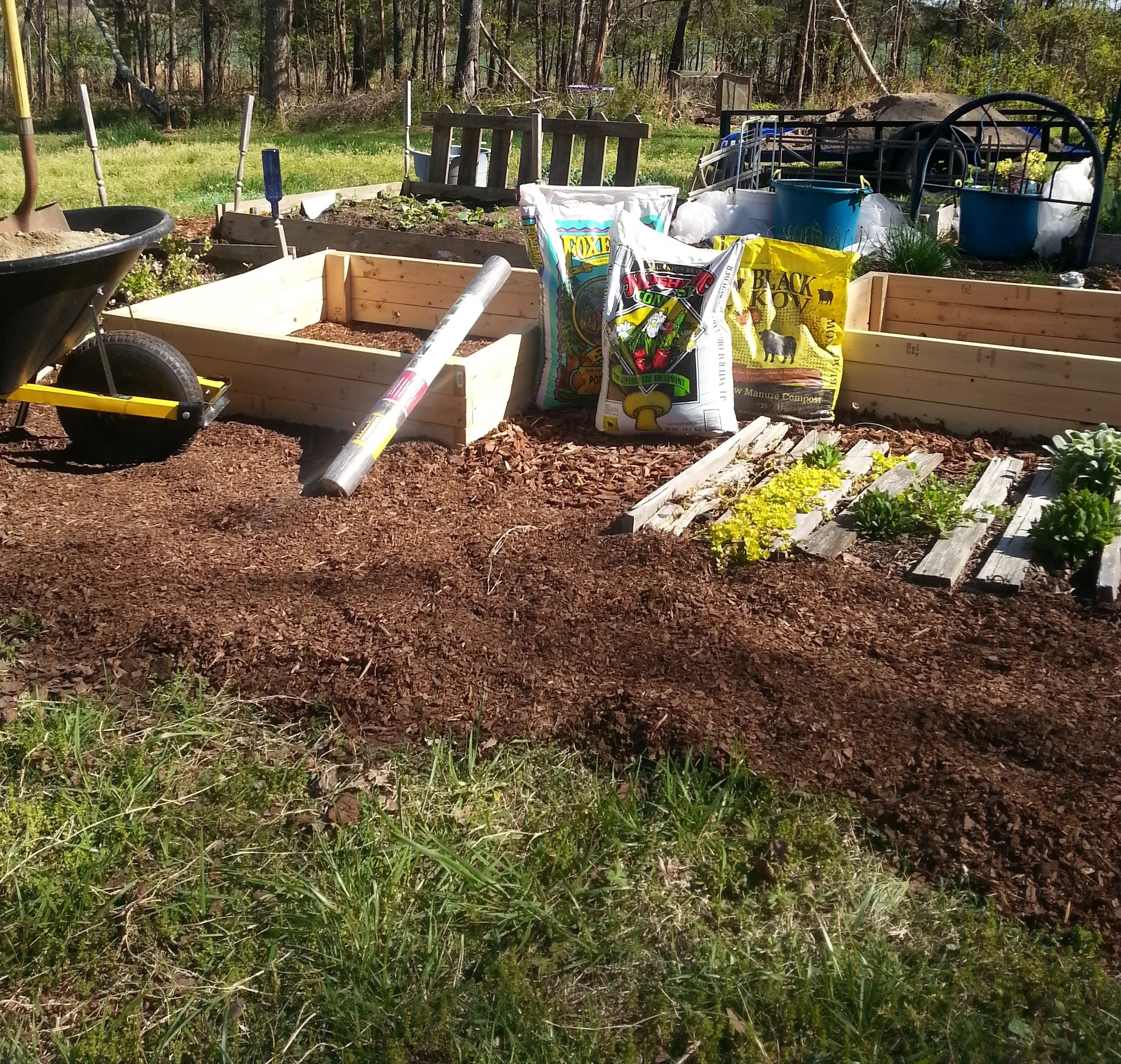 The fun part of a new raised bed is filling it!