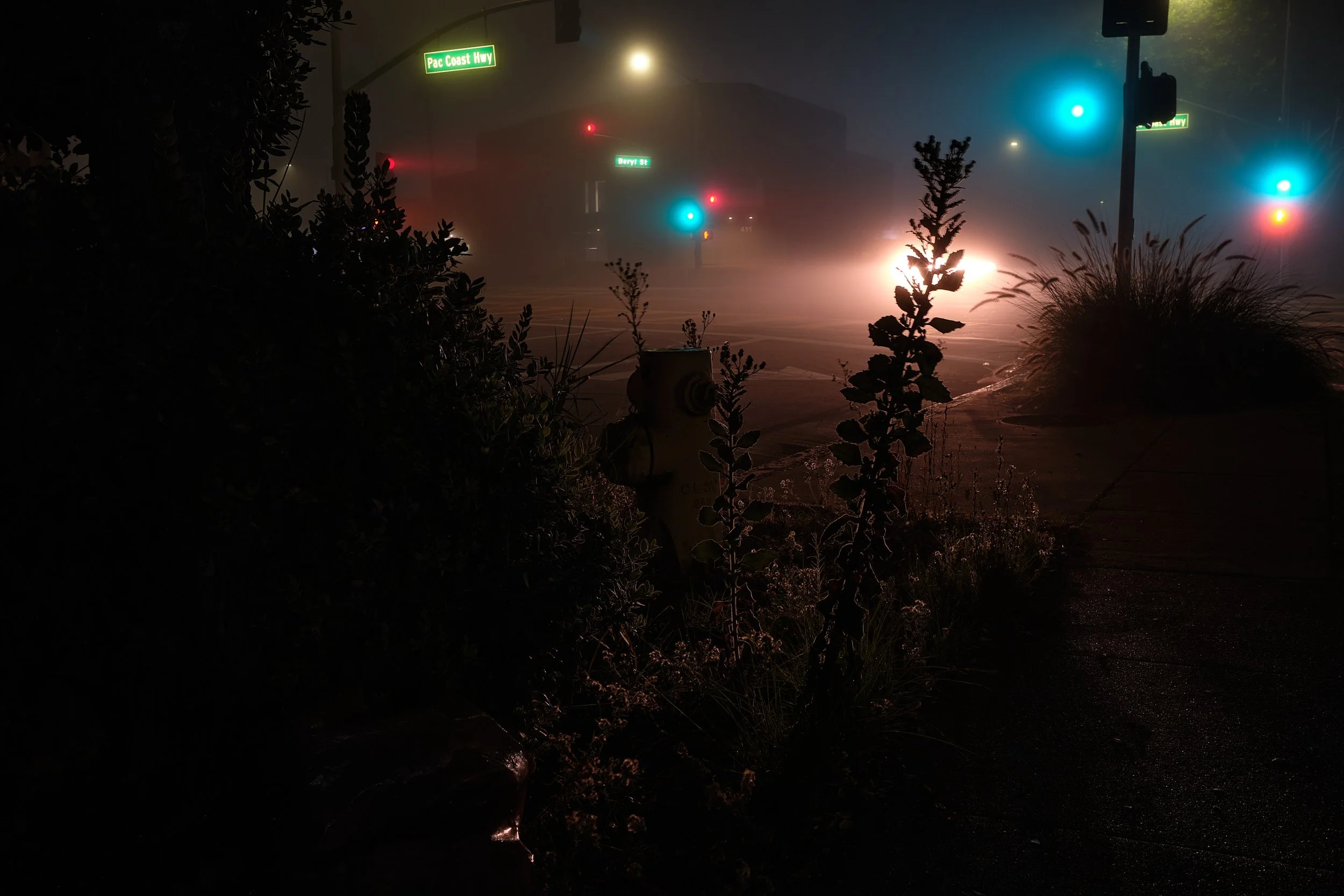 XP023125_edit_01.jpg