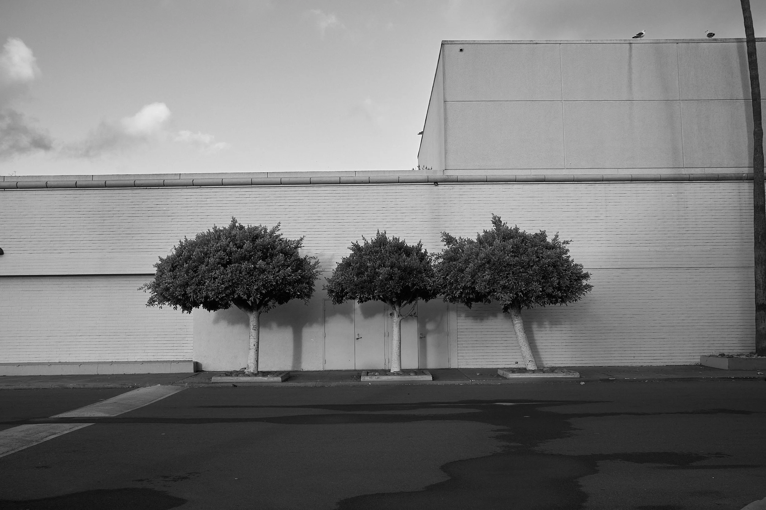 XPRO2589_edit_01.jpg