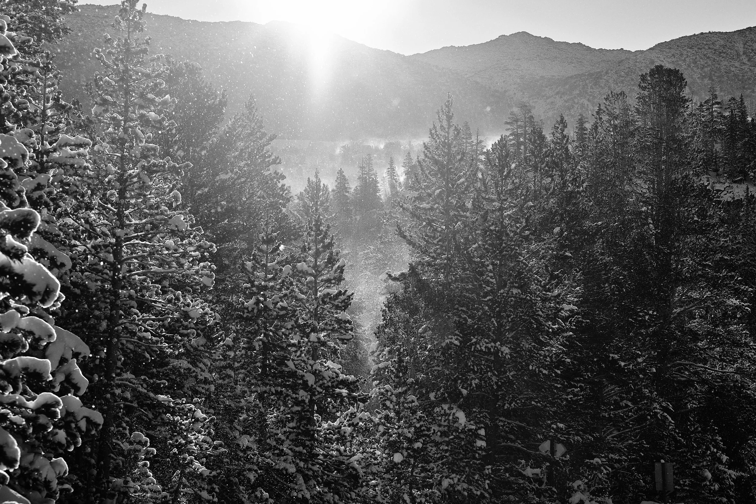 01_XP024528_edit_04.jpg